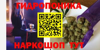 прущие крисы Владивосток