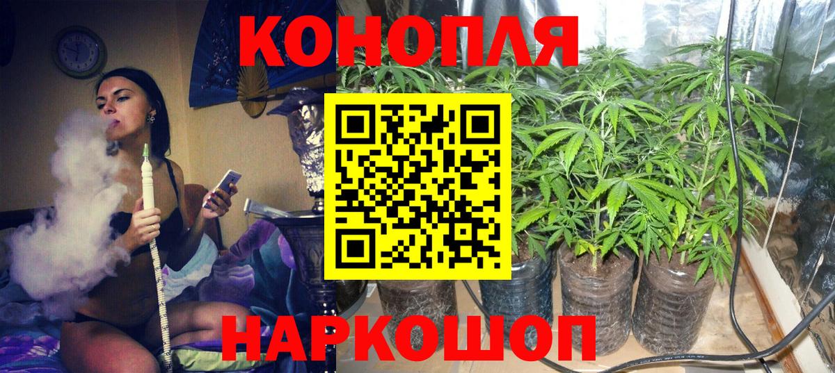 МАРИХУАНА тримм Богородск